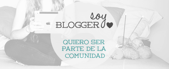 soy blogger 