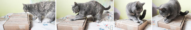 DIY-tutorial-como-hacer-un-juguete-para-gatos.rascador-para-gatos.Scratching-box-for-cats