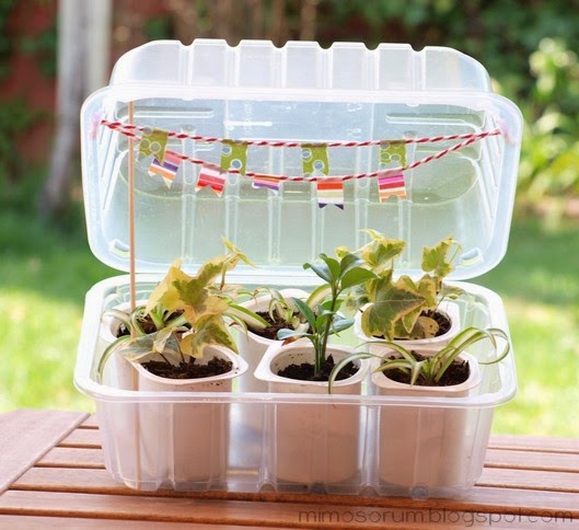 Traer Salón de clases crisantemo Cómo hacer un Invernadero Casero - DIY: Make a Homemade Greenhouse - HANDBOX