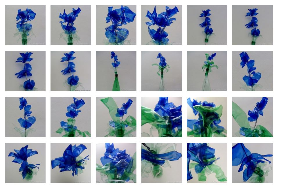 Blaue Blumen - Flores azules - Blue Flowers