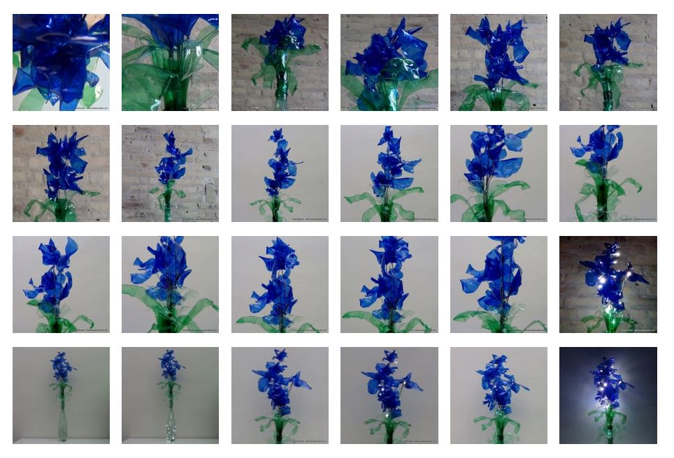 Blaue Blumen - Flores azules - Blue Flowers