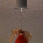 copa alta de cristal forrada con globos para decoraciones de Halloween