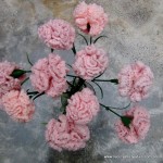 Claveles de ganchillo - Flores de crochet