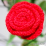 Flores de Crochet - Rosas de Pitiminí de ganchillo