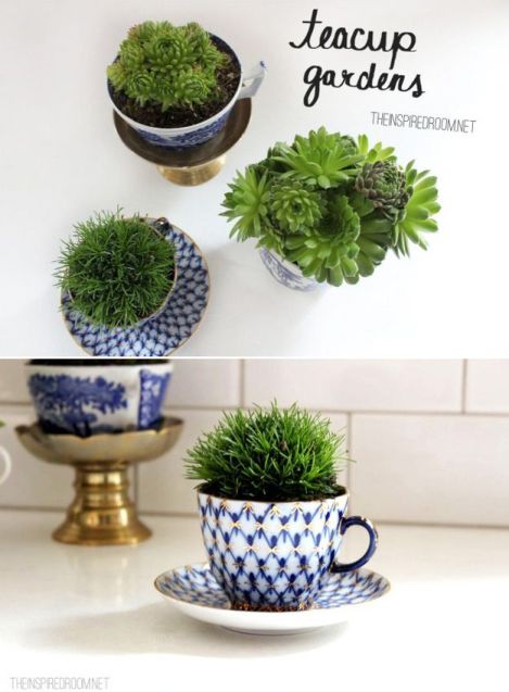 taza con plantas