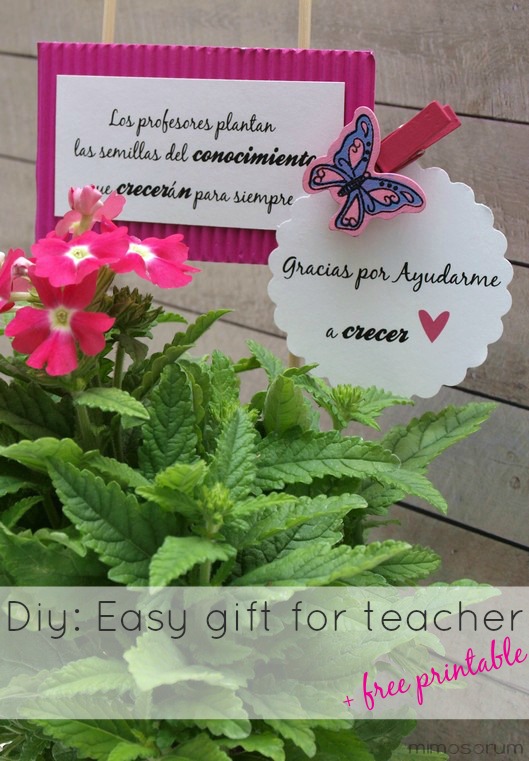 Un regalo especial para profesores {imprimible gratis}. Easy gift for teacher + free printable.