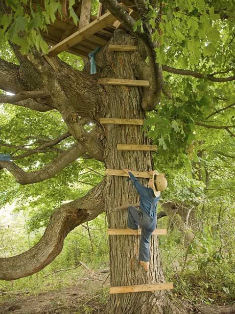 casas en árbol hechas a mano