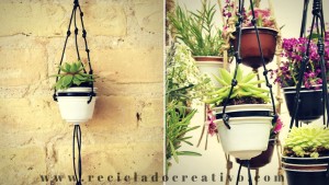 Mini macetero jardín vertical con cápsulas de café