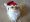 DIY Navidad: Papa Noel