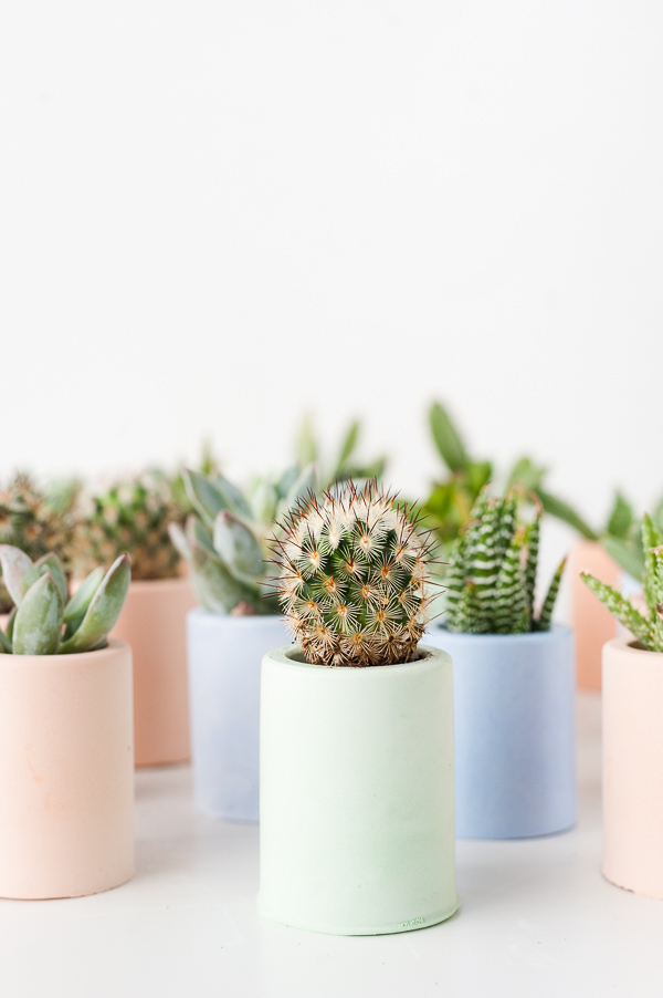 How to make mini planters with pigmented plaster that you can make at home.