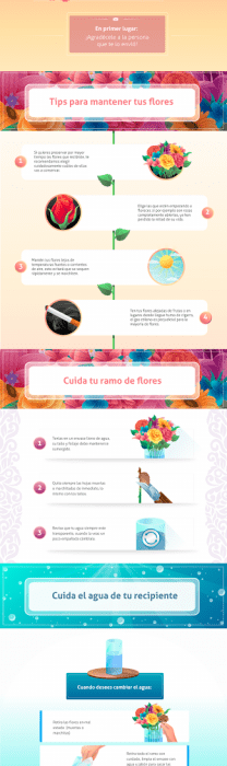 Cómo hacer que un ramo de flores dure más