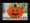 Halloween serie – pumpkin card