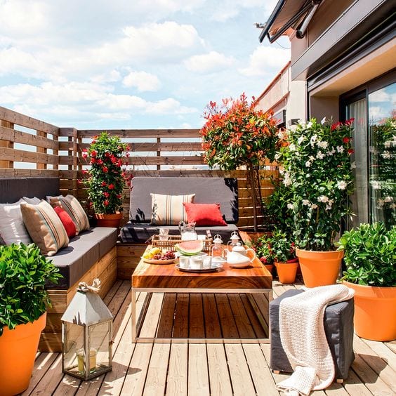 Decorar tu terraza o jardín con plantas