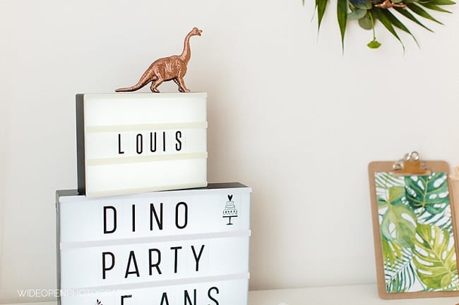 cajas-de-luz-fiesta-dinosaurios