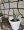 El diy tonto del mes: Plantar Cactus